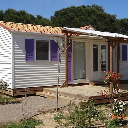 Mas Des Lavandes Sérignan Exterior foto